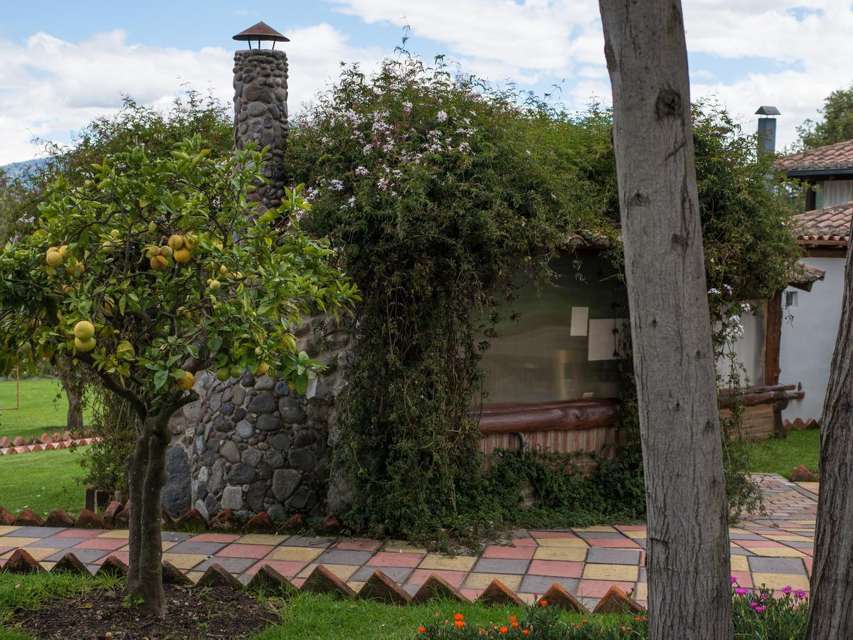 Zaysant Ecolodge Puembo Екстериор снимка